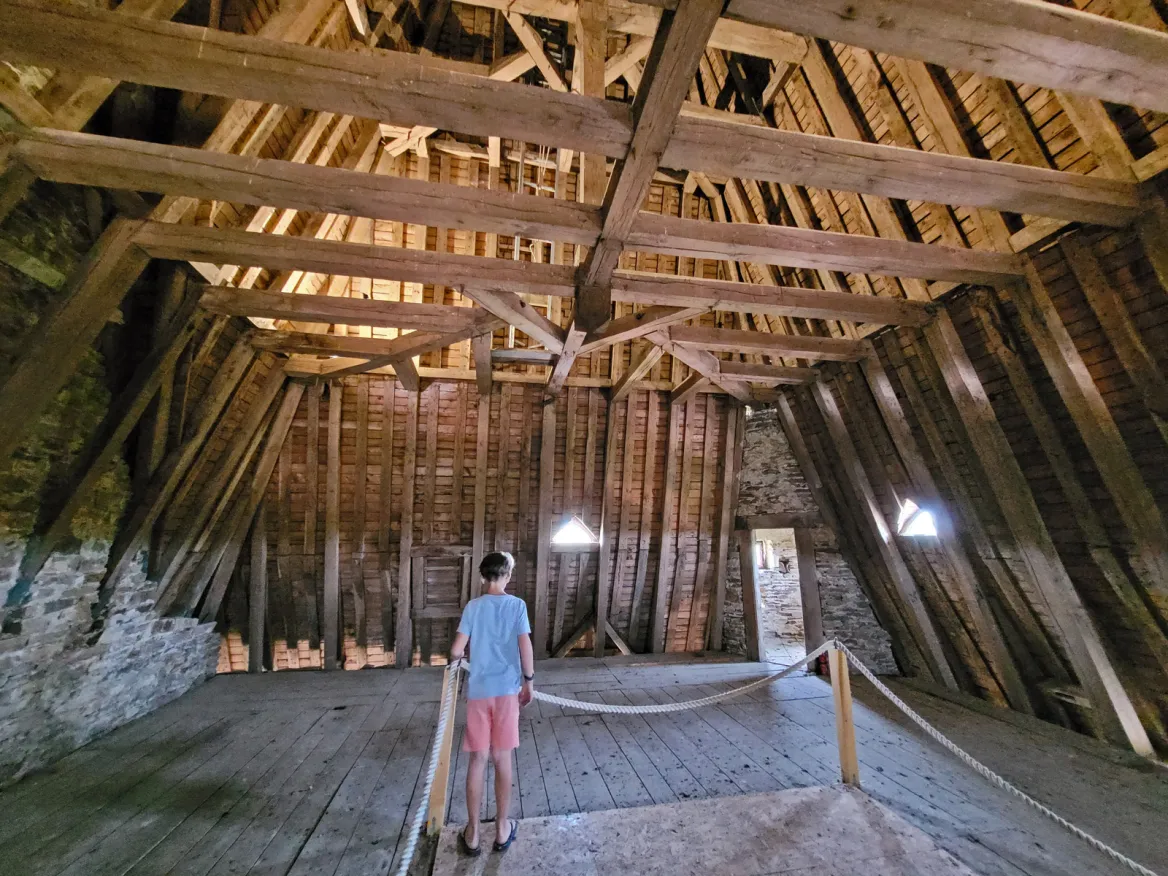 Roofs of Jumilhac Castle