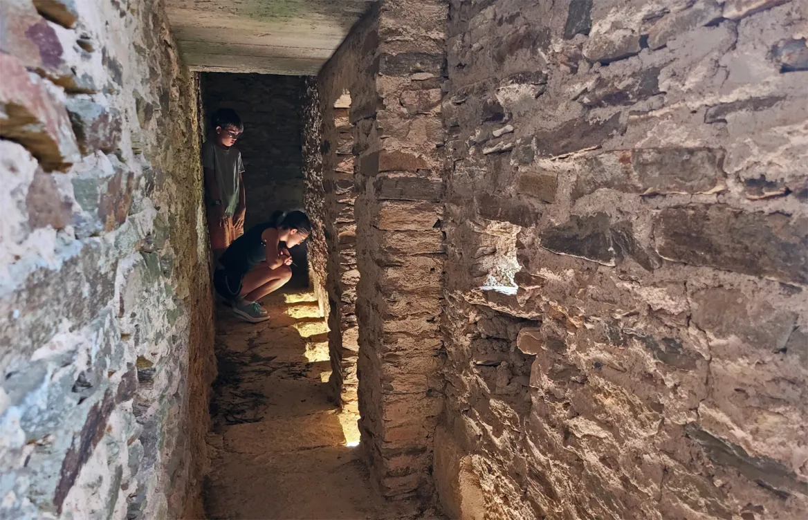 Roofs of Jumilhac Castle