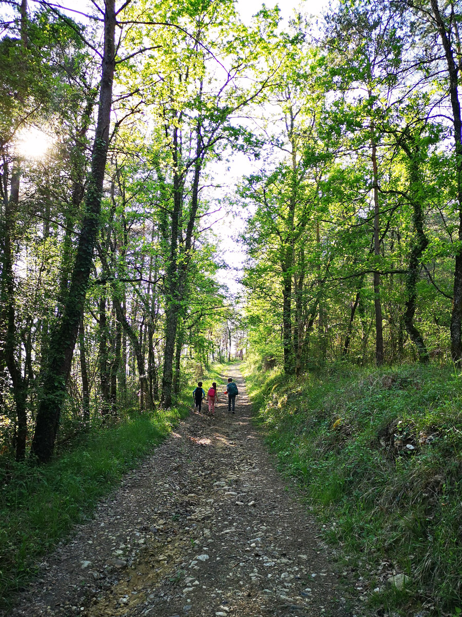 Saint-Leon-sur-Vezere
