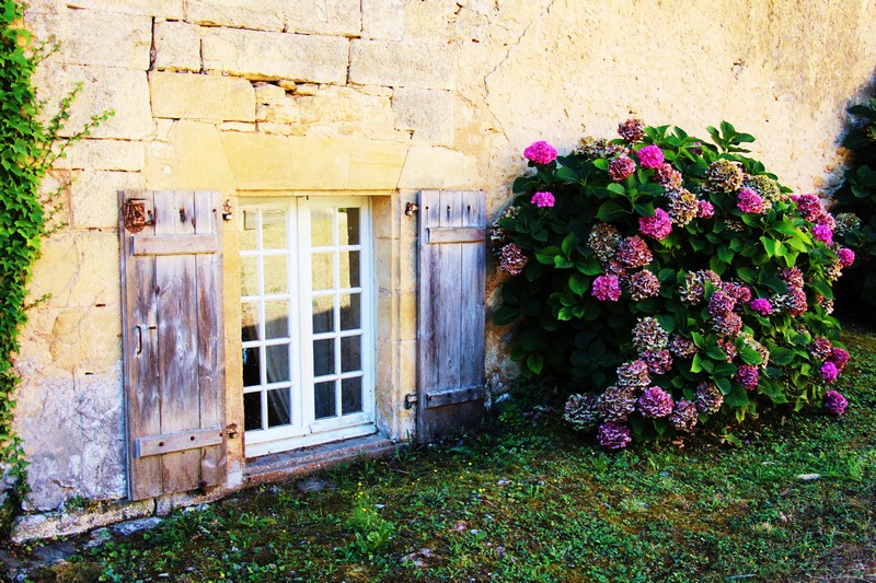 Saint-Geniès
