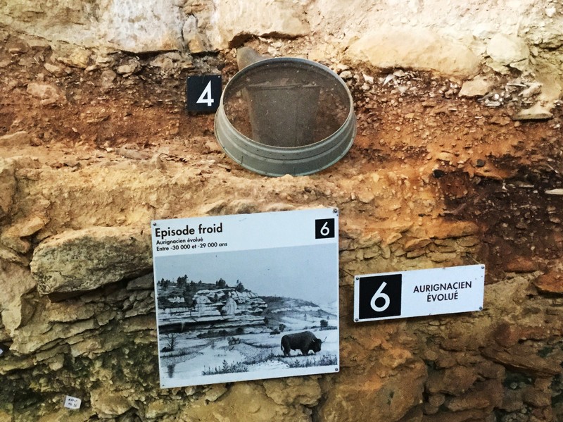 Labri Pataud