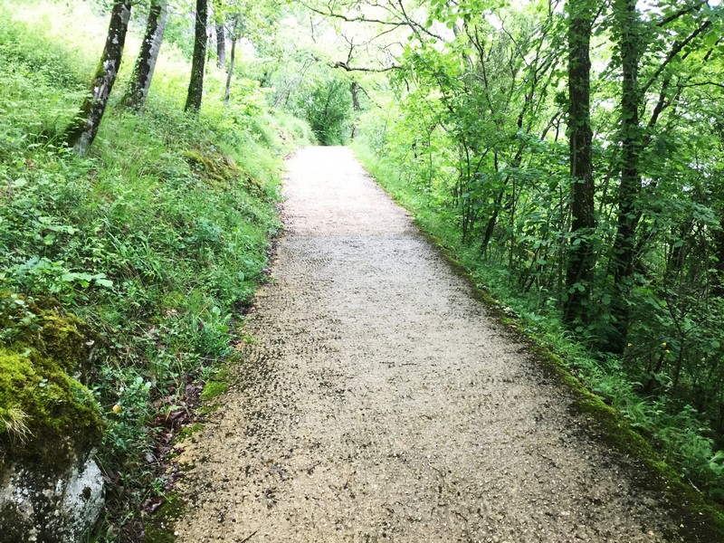 La grotte de Font-de-Gaume