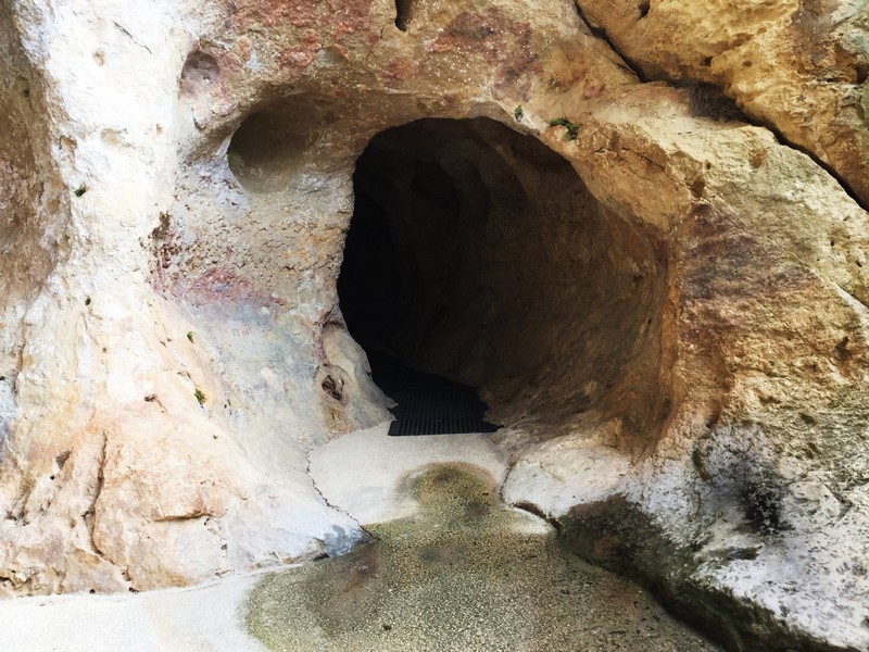 La grotte de Font-de-Gaume