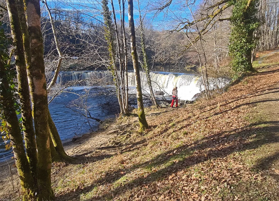 The Forges of Savignac Ledrier