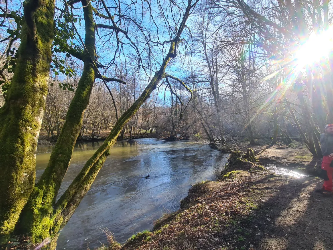 Les Forges de Savignac Lédrier