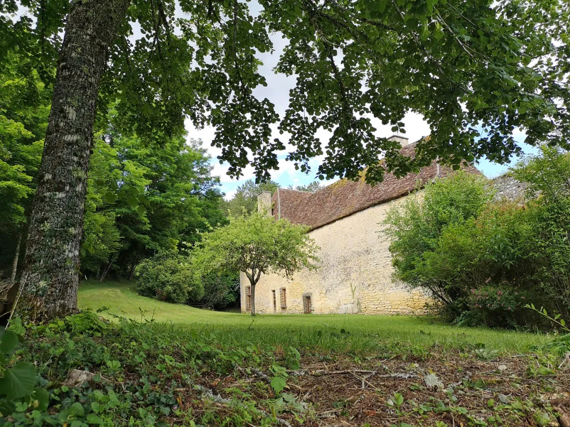 Mur d'enceinte du Château d'Auberoche