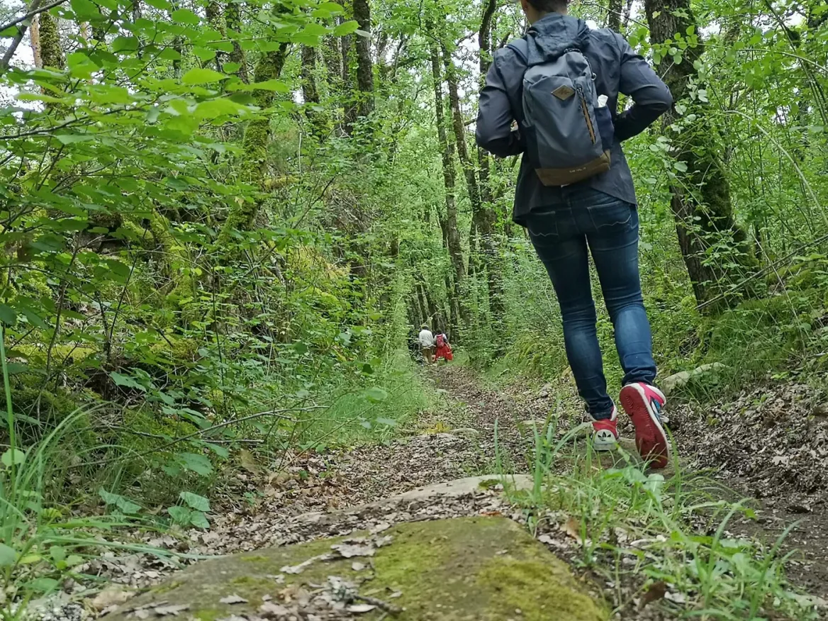 Easy path