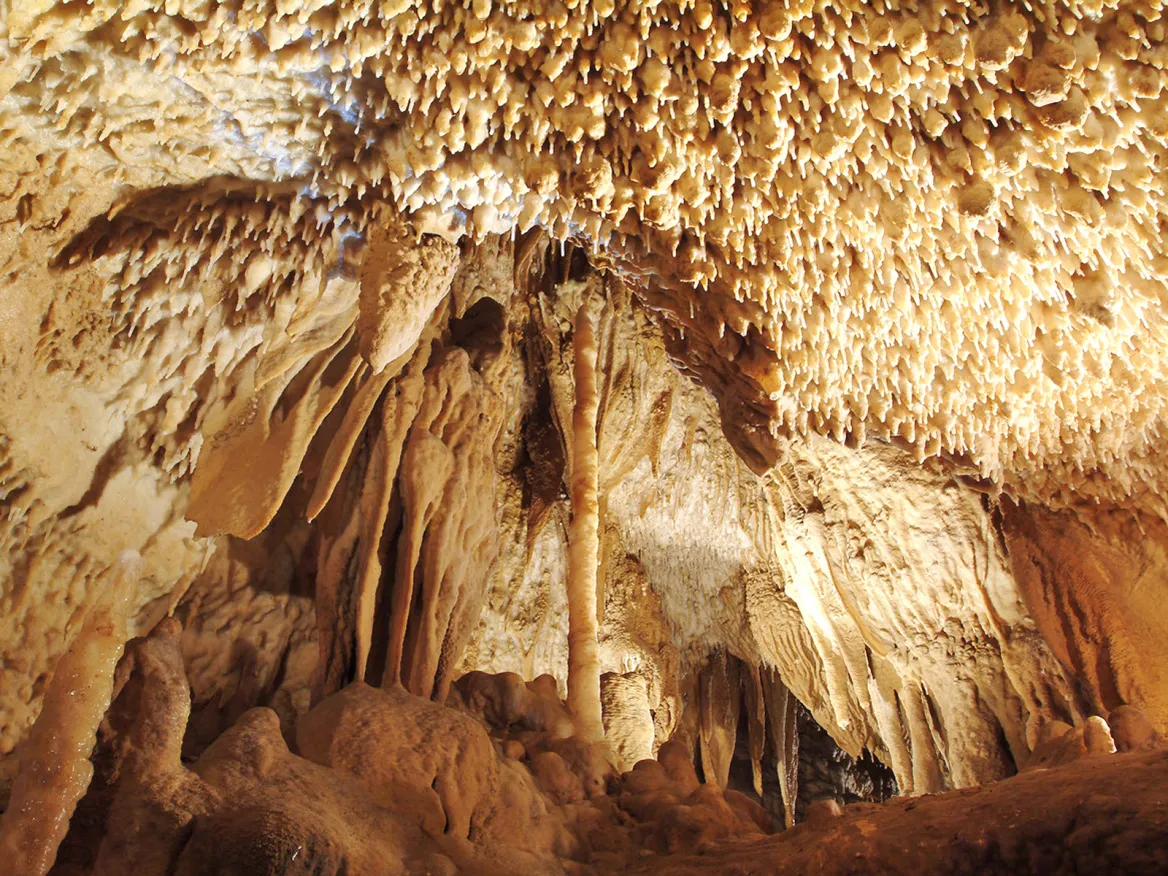 Villars ceiling