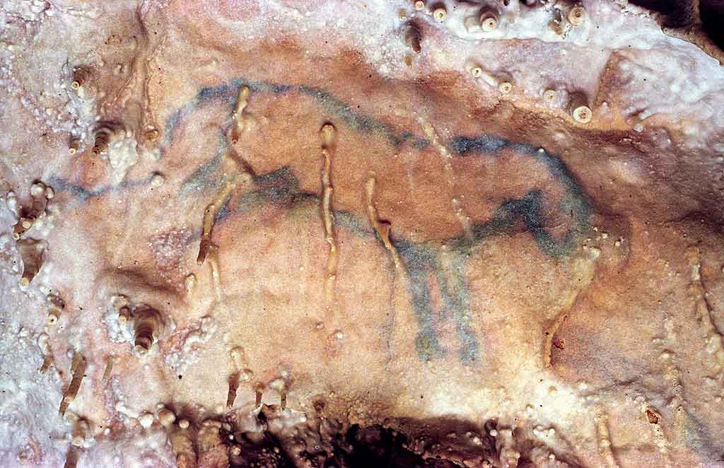 Cave paintings © Grotte de Villars