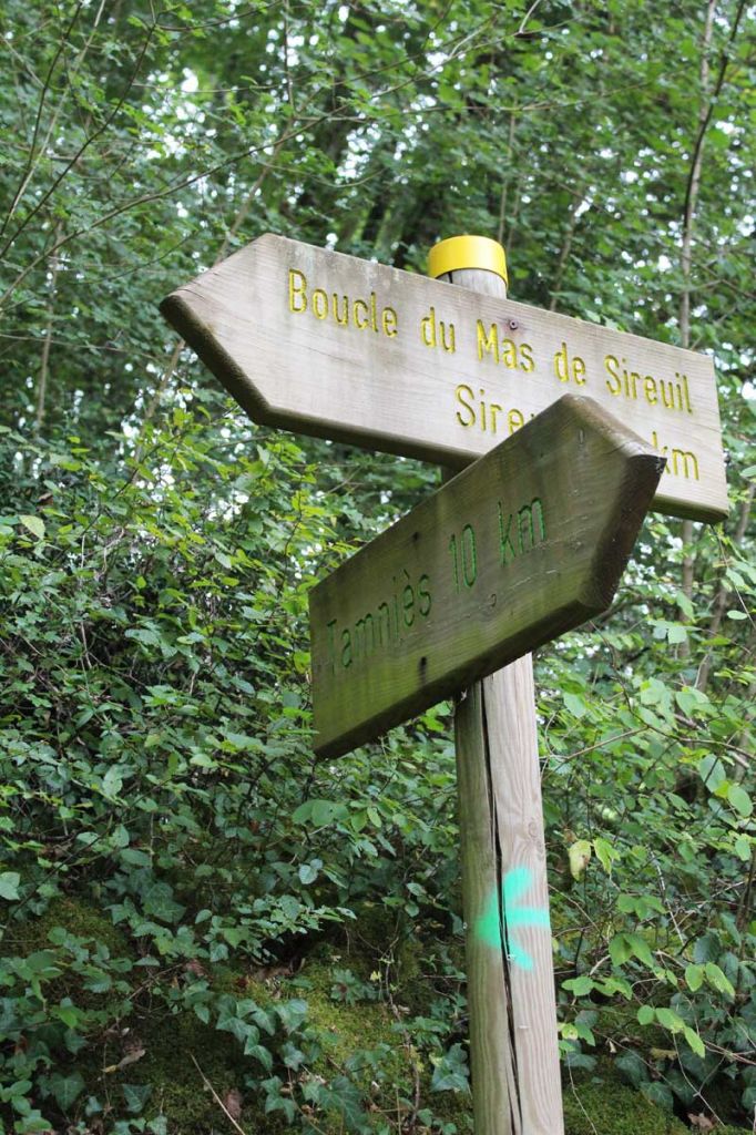 Sentier Cro-Magnon en Vallée Vézère