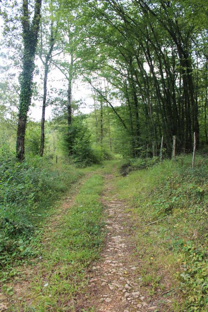 Sentier Cro-Magnon en Vallée Vézère