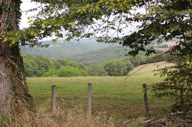 Sentier Cro-Magnon en Vallée Vézère