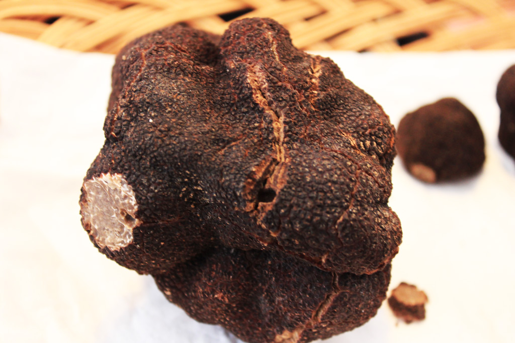 Truffe Noire du Périgord