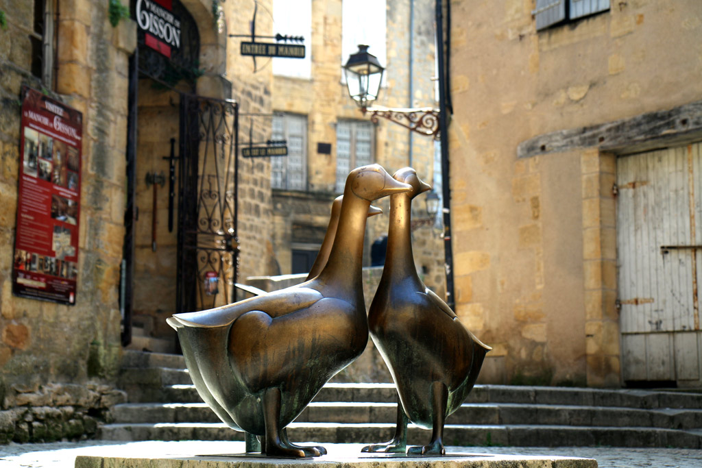 Les oies de sarlat