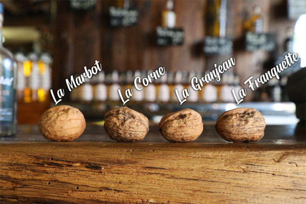 Les 4 variétés de l’AOP Noix du Périgord
