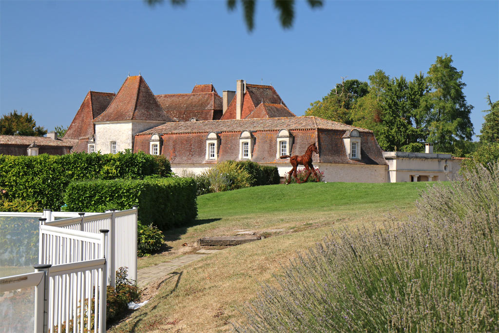 Piscine avec vue sur le château