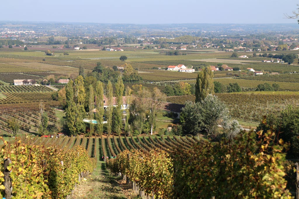 Les coteaux de Monbazillac et la vallée de Bergerac au loin