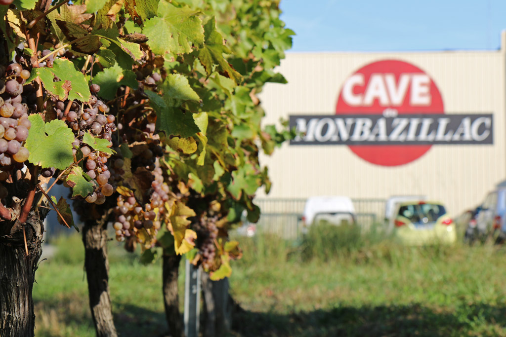 The Monbazillac Cooperative Cellar