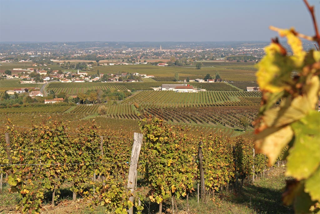 The town of Bergerac and the bed of the Dordogne in the distance, from the hills of Monbazillac