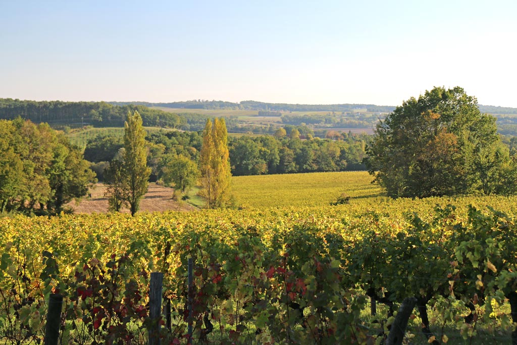 A working environment that proud winegrowers and winemakers appreciate