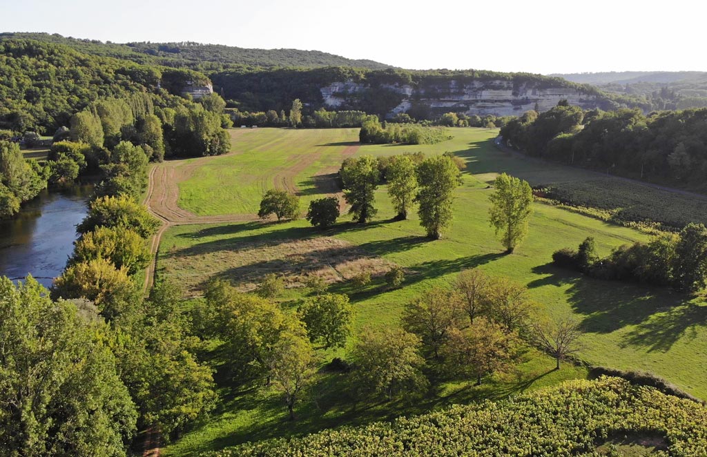 Visitez La Roque Saint-Christophe, à quelques minutes à pied du camping