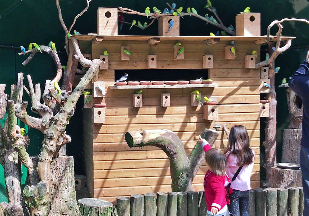 The immersive aviary