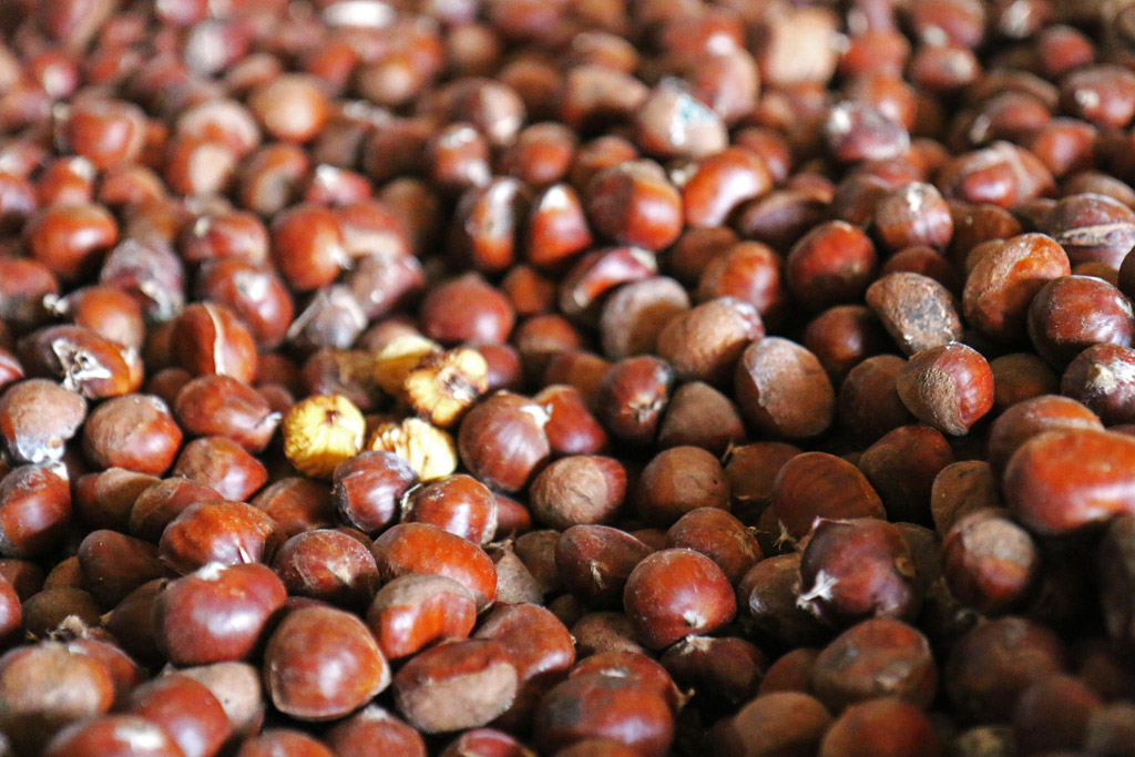 des marrons du périgord