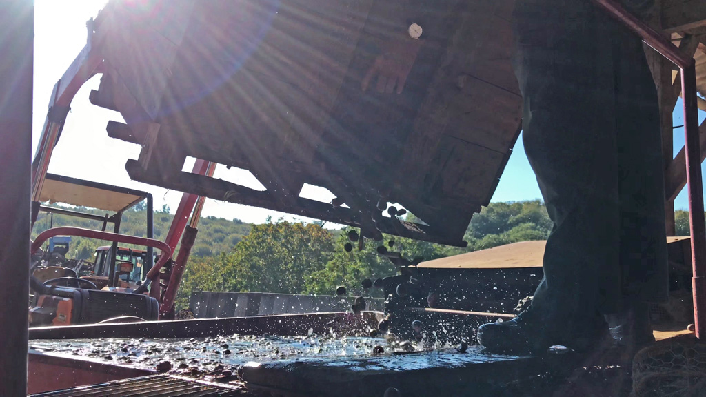 nettoyer châtaignes