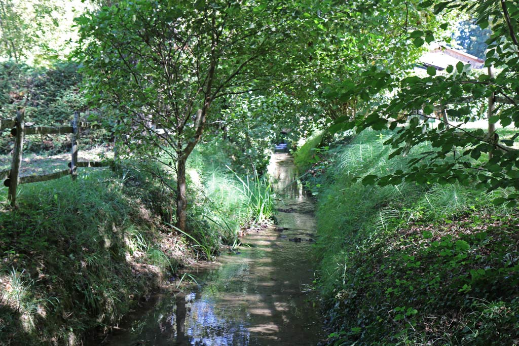 Le ruisseau au milieu du camping
