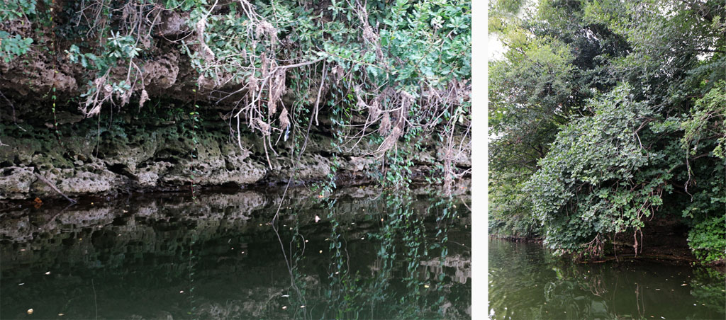 Les Gabarres de Bergerac Les cluzeaux sur la Dordogne