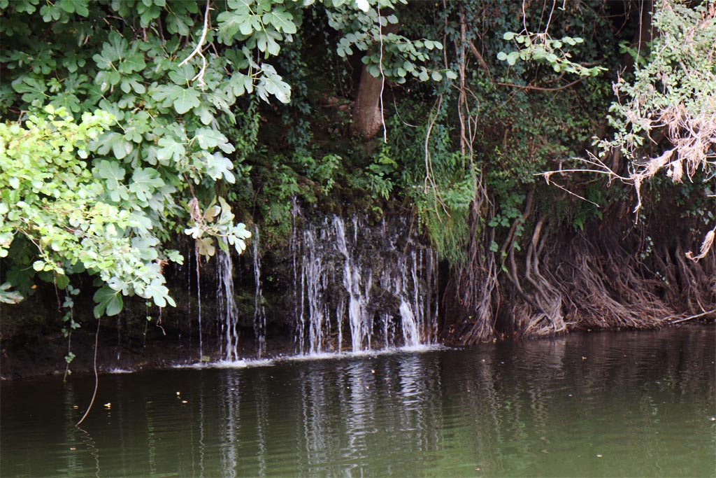 Les Gabarres de Bergerac résurgence d'eau