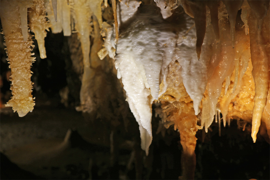 The draperies of the great rock