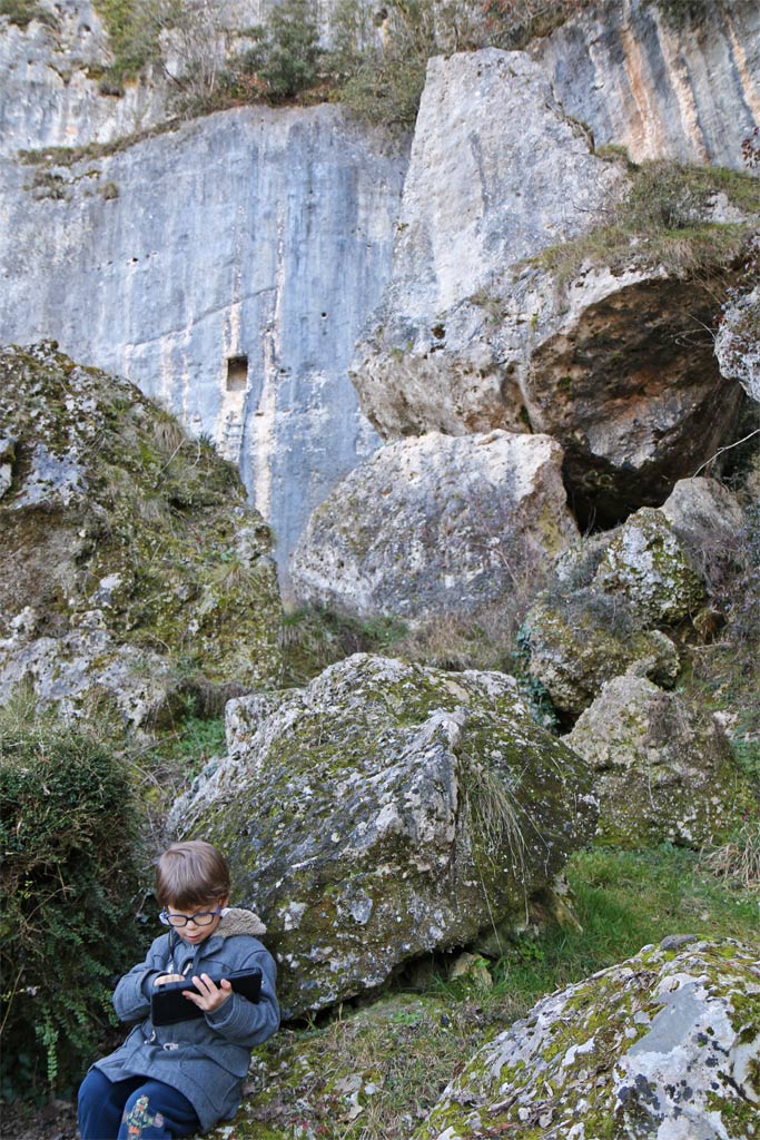 Laugerie Lower Cliff