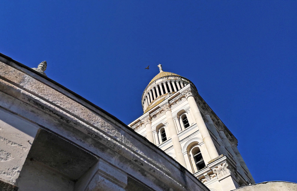 Le faucon pèlerin, gardien des lieux