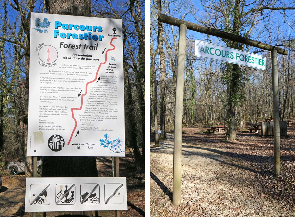 Parcours forestier proumeyssac