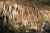 Foret de stalagtites gouffre de proumeyssac