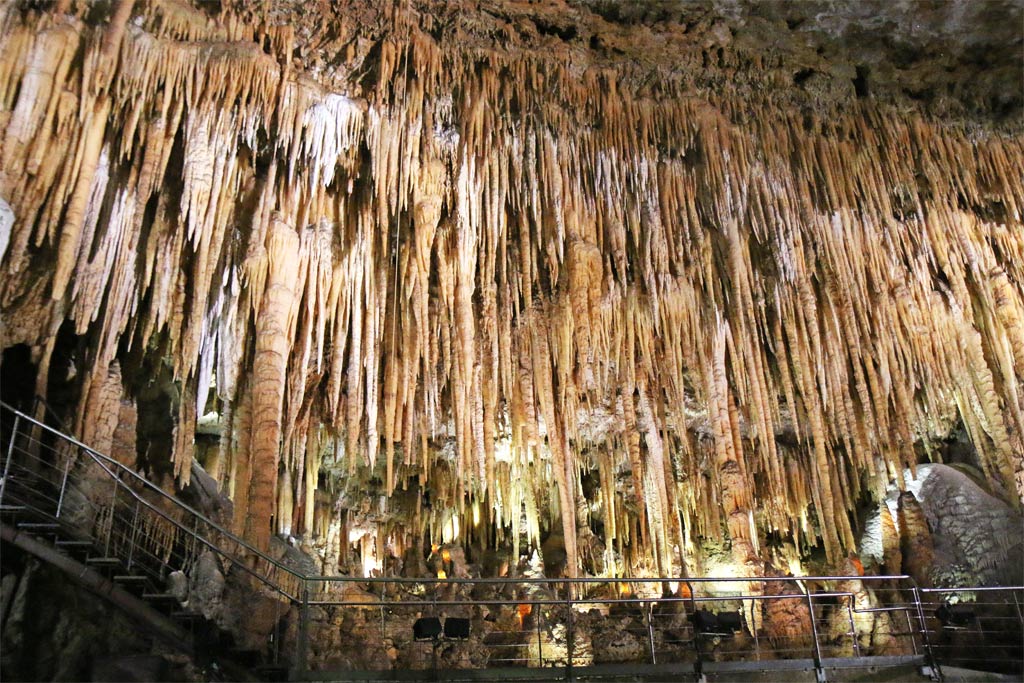 Foret de stalagtites gouffre de proumeyssac