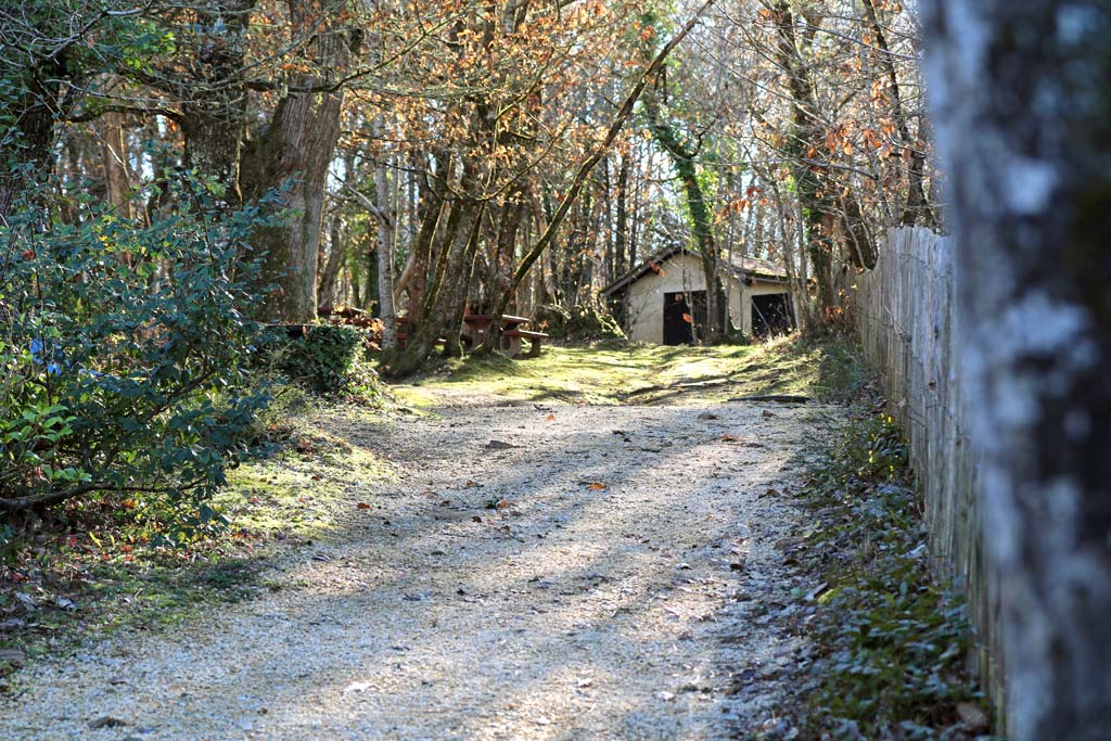 foret pique nique proumeyssac