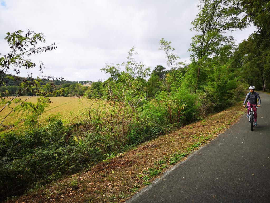 The combe with the cornfields