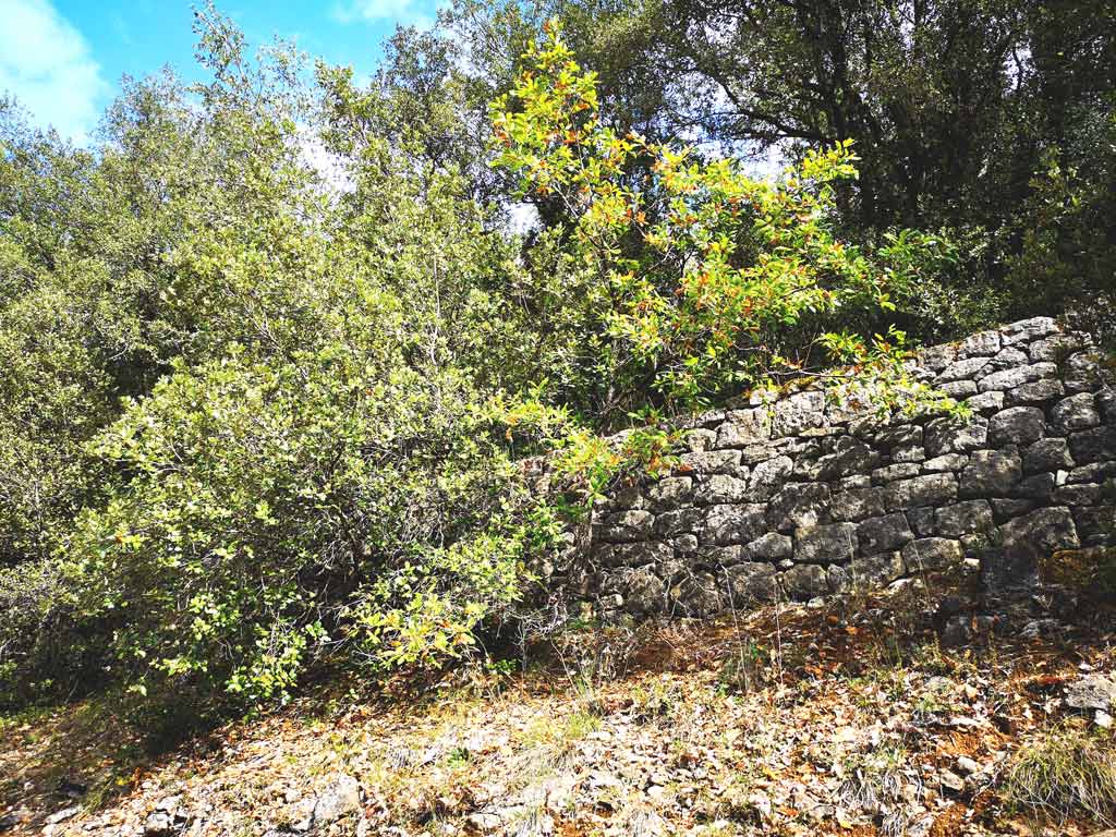 dry stone wall