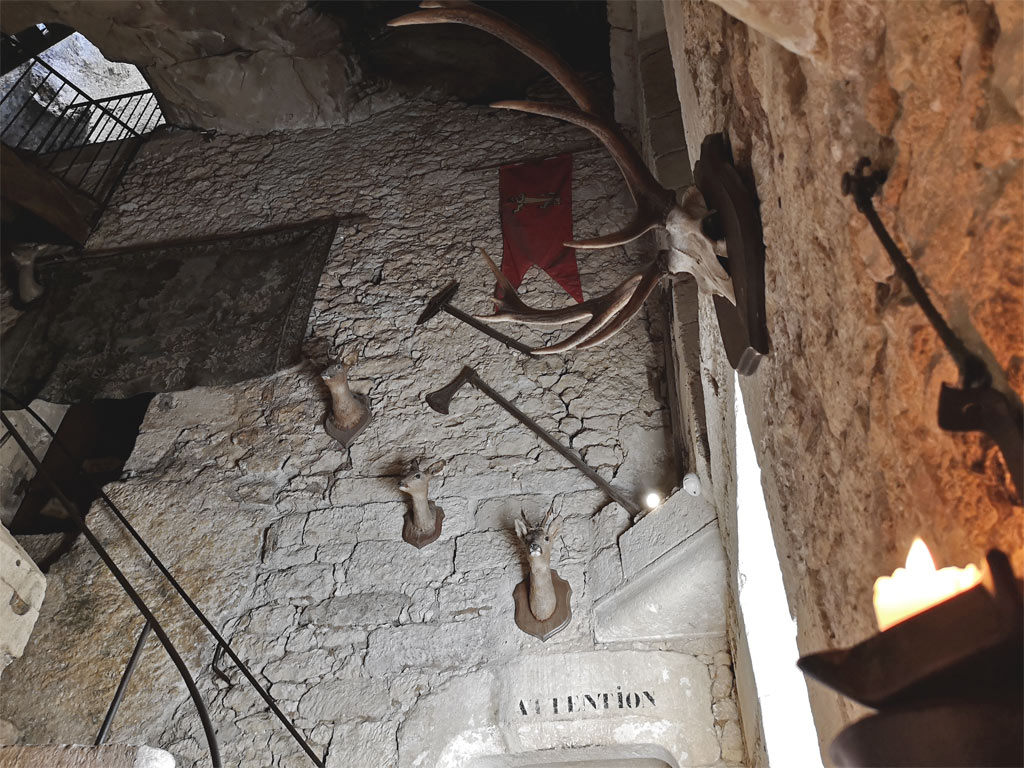 Hunting trophies Maison Forte de Reignac