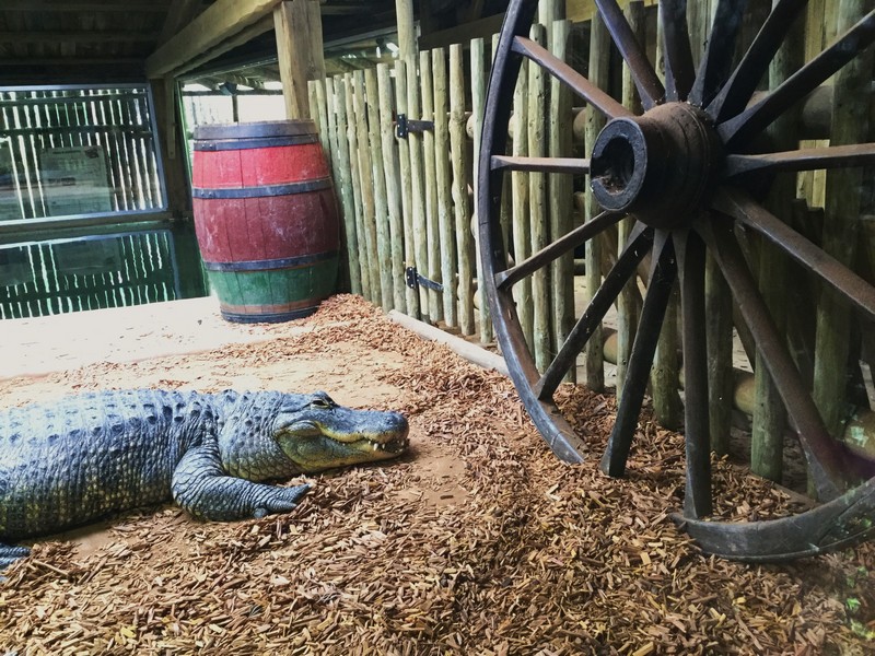 Laquarium du Périgord Noir