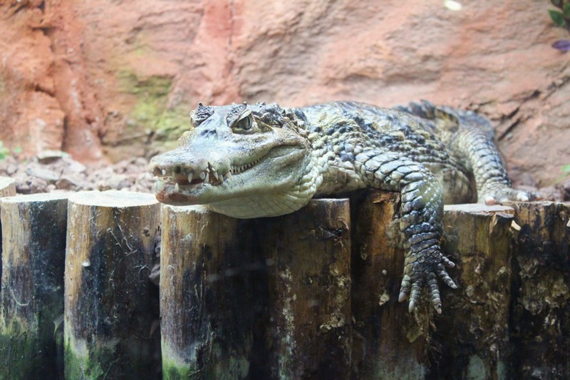 Laquarium du Périgord Noir
