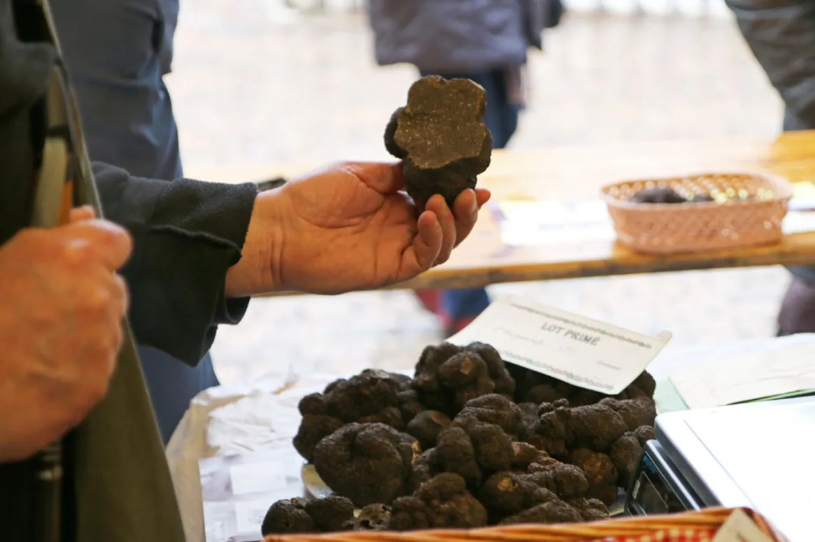 truffle