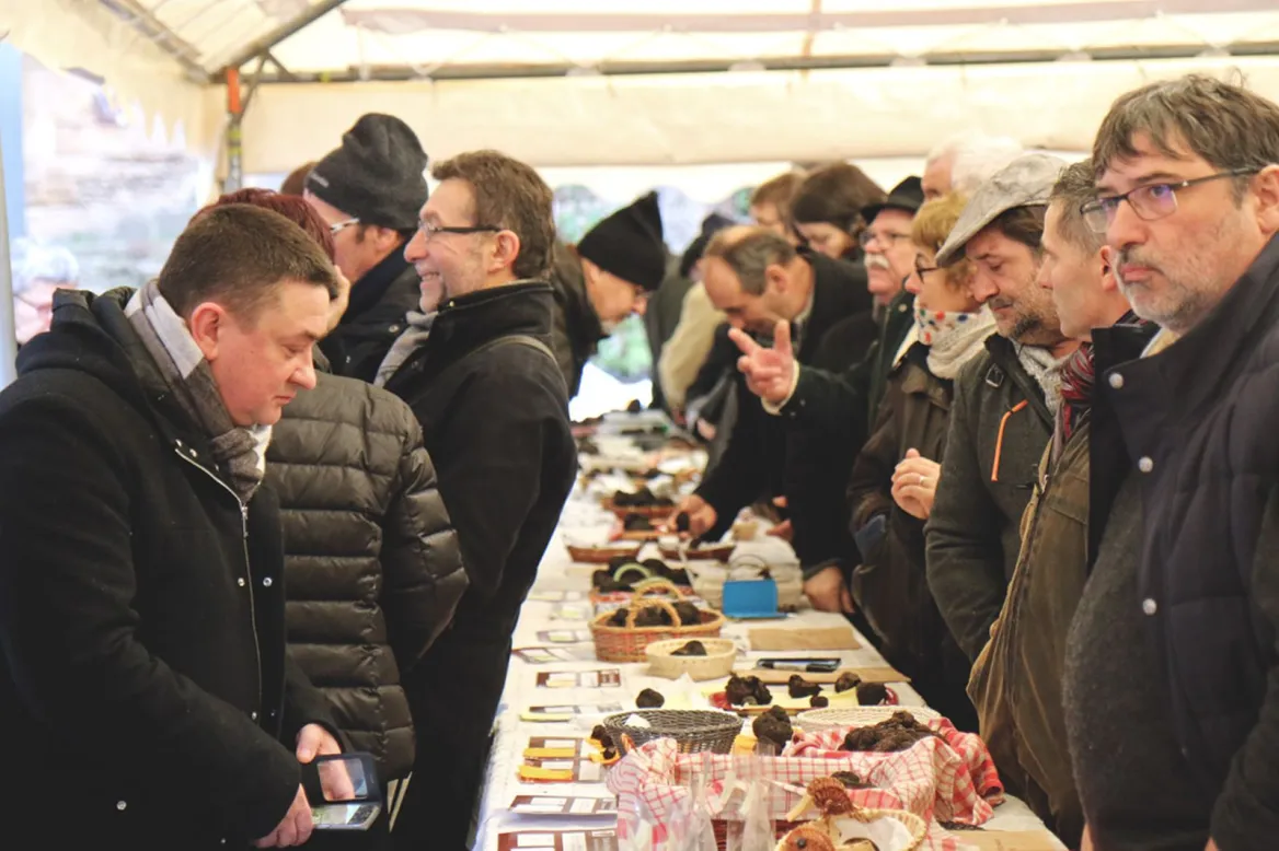 Truffle Market
