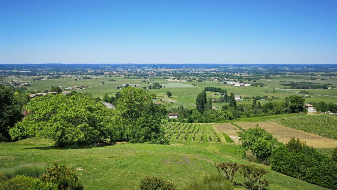 Vignoble de Bergerac DUras