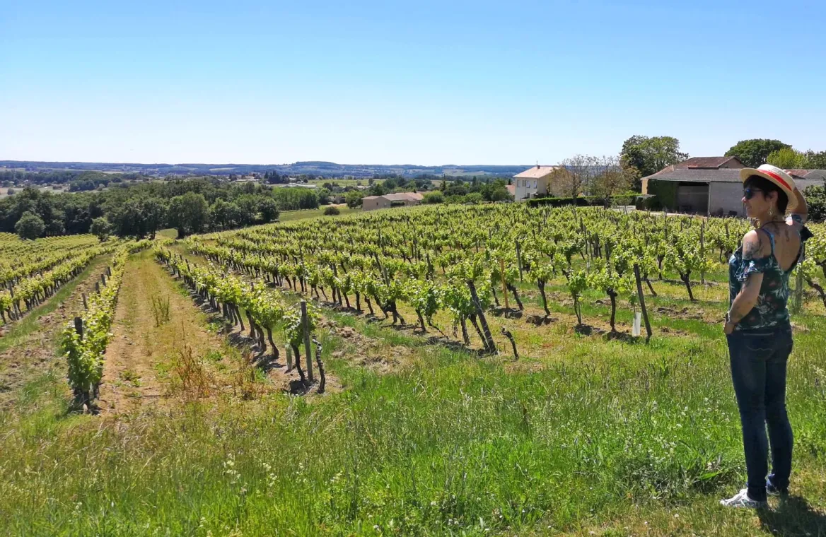 La Route des vins de Bergerac Duras