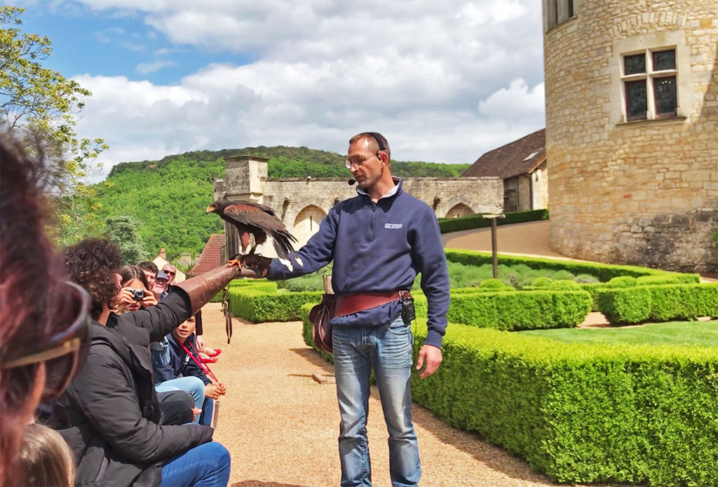 spectacle de rapaces