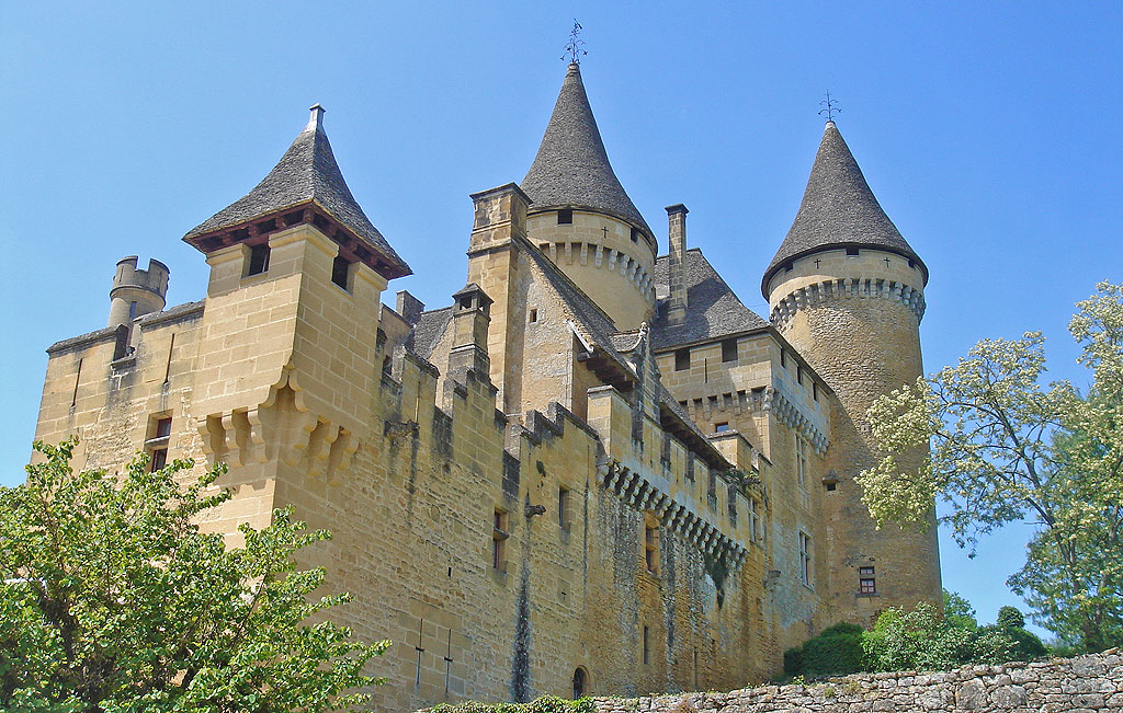 Puymartin Castle