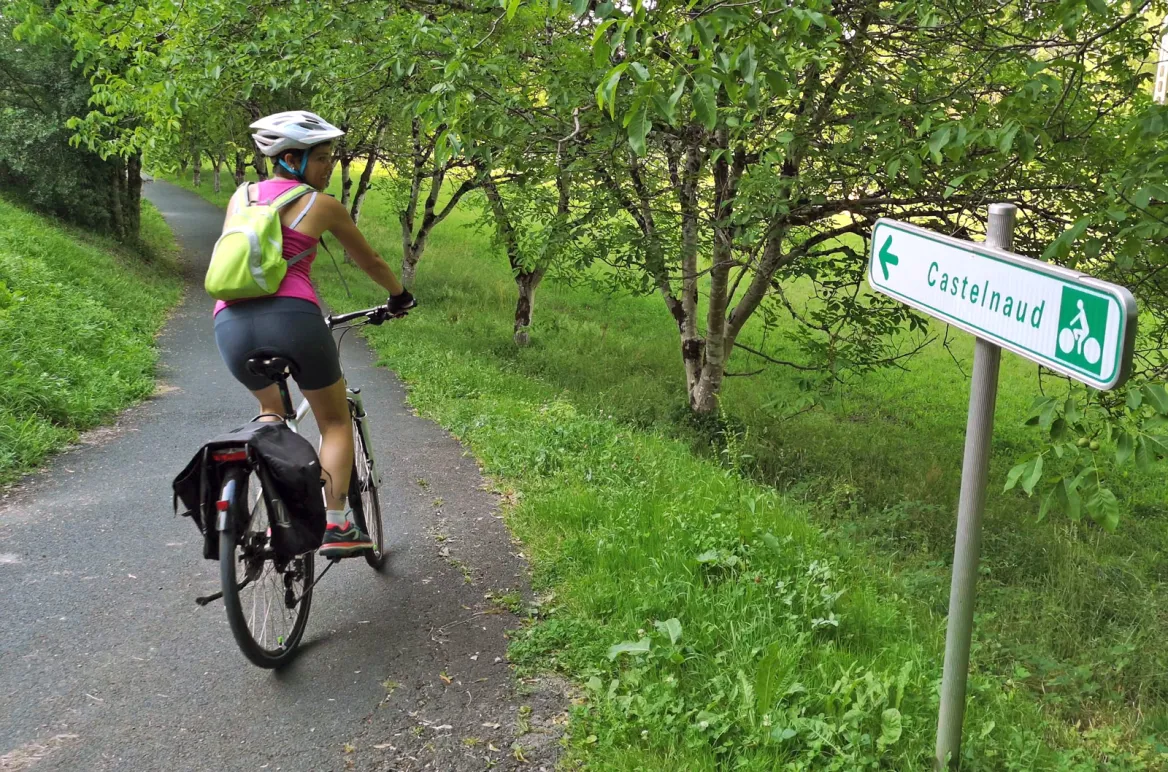Location vélo Bike Bus